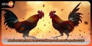 Đá Gà Online New88 Trực Tuyến Kịch Tính Nhất Tại Sân Cược
