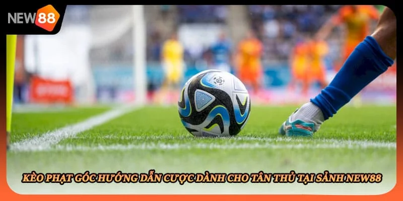 Kèo Phạt Góc Hướng Dẫn Cược Dành Cho Tân Thủ Tại Sảnh New88